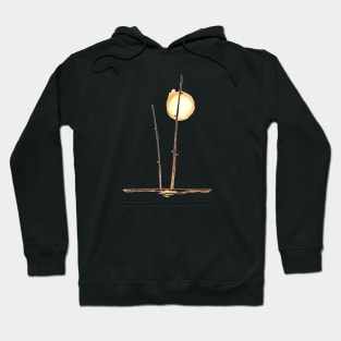 After the Fire Hoodie